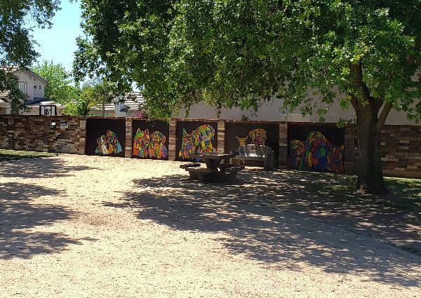Shaded trees span the area of LCP Dog Park