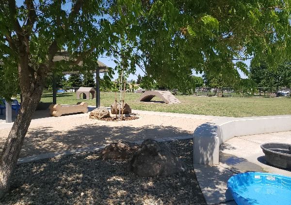 Morse Dog Park Large Dog Park