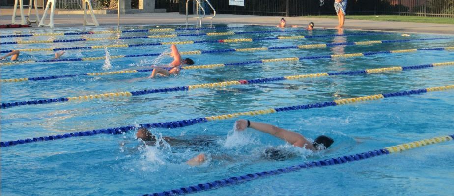 Lap Swim participants