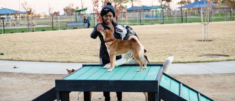 A girl plays with her dog while he stands on a dog climbing structure