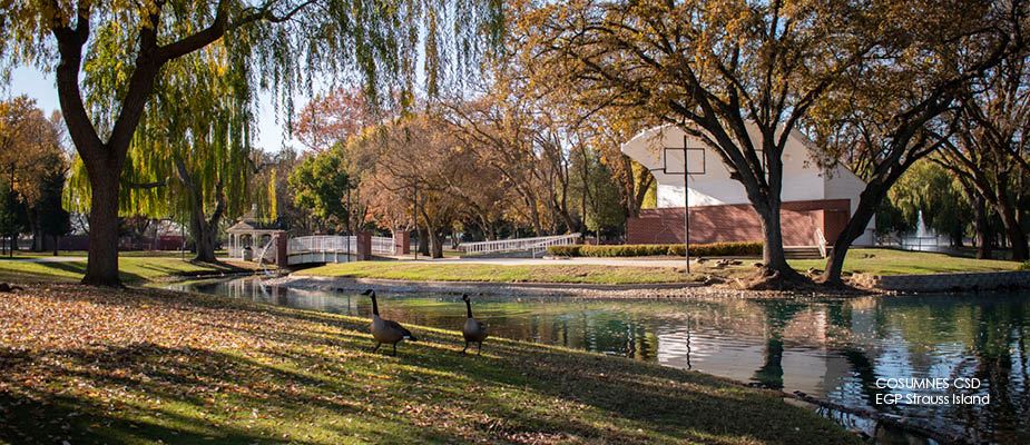 Strauss Island surrounded by lake, bushes and trees with ducks roaming around the spacious grounds.