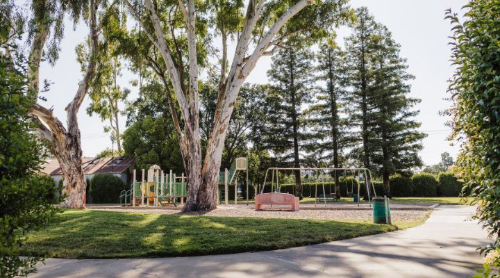 Image of a walking path in front of two large trees, a bench and a green and yellow playground