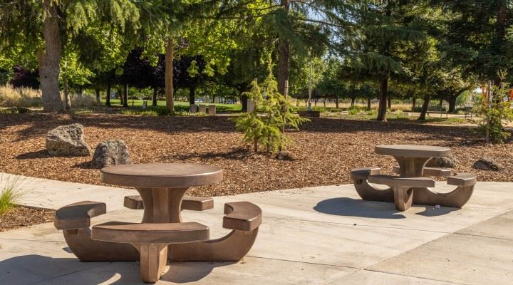 Wooded area with picnic tables.