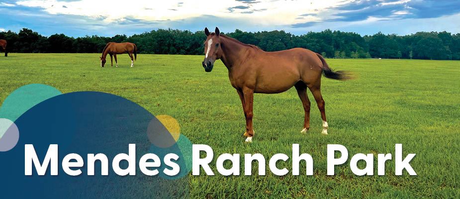 Mendes Ranch Park Header Image
