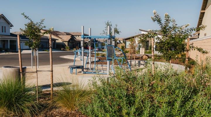 Picture of adult fitness equipment.