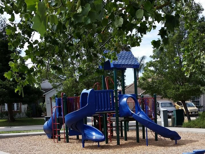 Playground through the trees