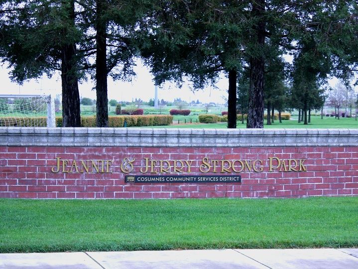 Gold park lettering against a brick wall with evergreen trees behind