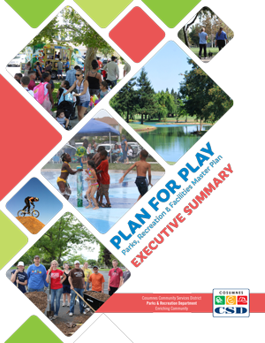 Cosumnes CSD Master Plan Executive Summary