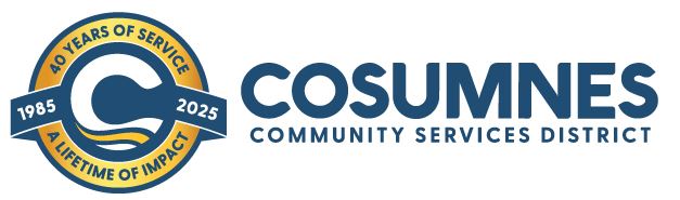 40th Anniversary Horizontal Logo