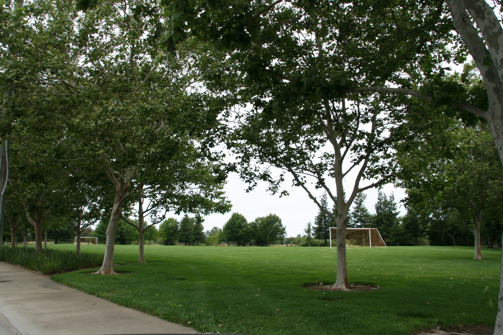 Underwood Park Green Field